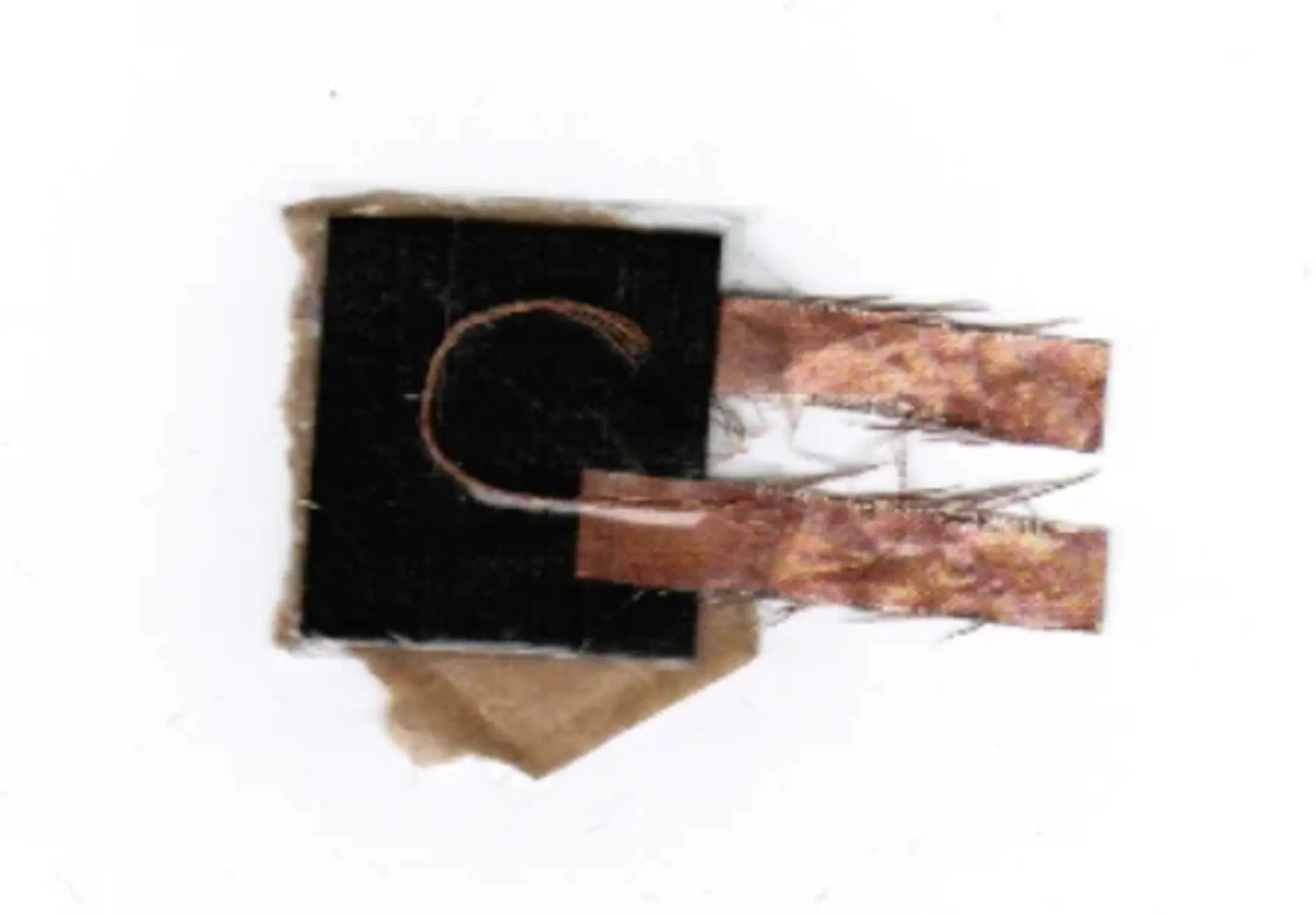 /archive/2021-2022/ueberhoert/Images/large/Page 3, object 10 (X).webp